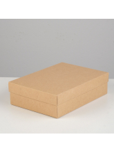 Коробка картонная без окна, крафт, 16,5 х 12,5 х 5,2 см